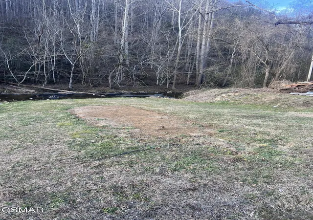 7th image of 0 Blue Mill Road, Del Rio, TN 37727 | MLS# 3302095