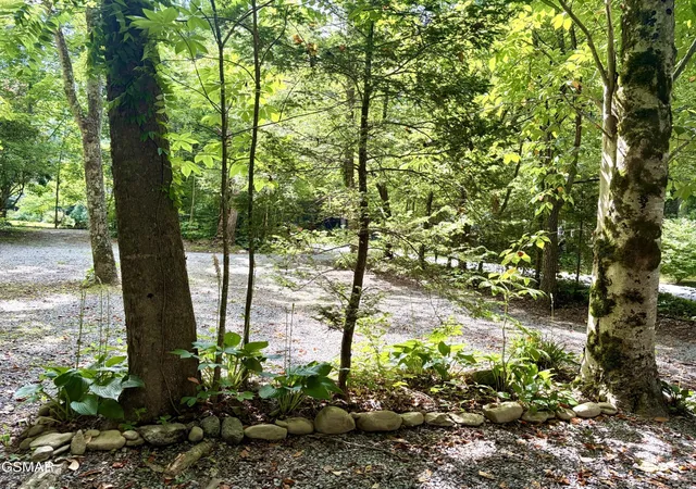 Homes for sale in Gatlinburg, TN | 4413 E Scenic Dr, Gatlinburg, TN 37738 | MLS# 3264187