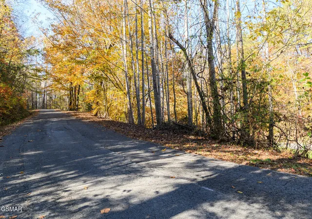 2nd image of 1 Jones Cove Road, Cosby, TN 37722 | MLS# 3280850