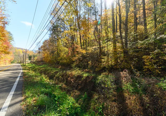 4th image of 1 Jones Cove Road, Cosby, TN 37722 | MLS# 3280850