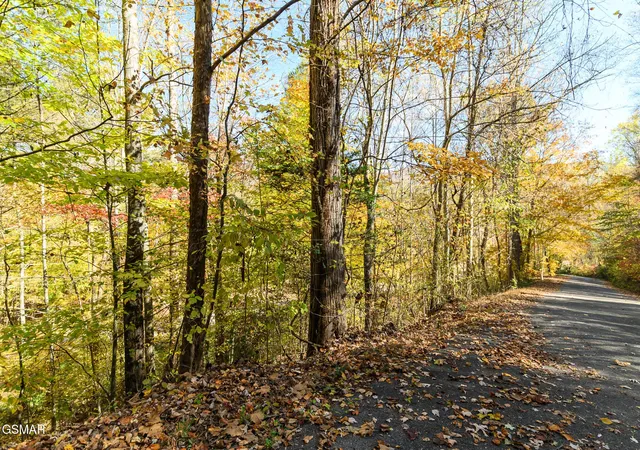 5th image of 1 Jones Cove Road, Cosby, TN 37722 | MLS# 3280850