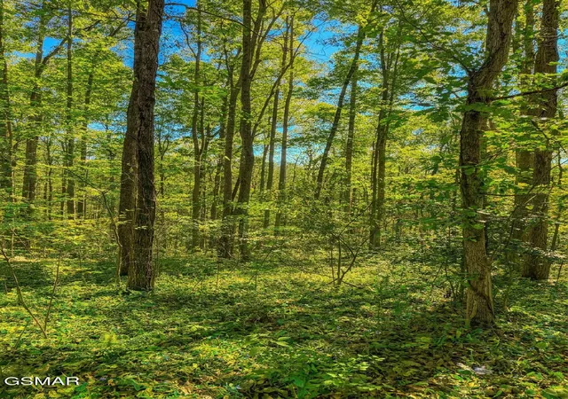 28th image of 1413 Timber Trail, Newport, TN 37821 | MLS# 3321028