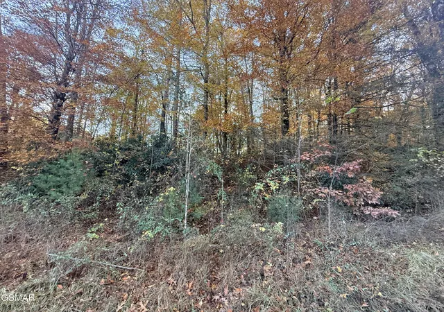 1st image of 4243 Deerfoot Road, Newport, TN 37821 | MLS# 3270041