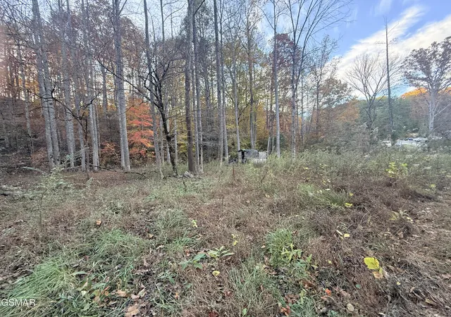 2nd image of 4243 Deerfoot Road, Newport, TN 37821 | MLS# 3270041