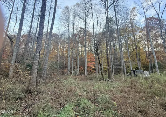 3rd image of 4243 Deerfoot Road, Newport, TN 37821 | MLS# 3270041