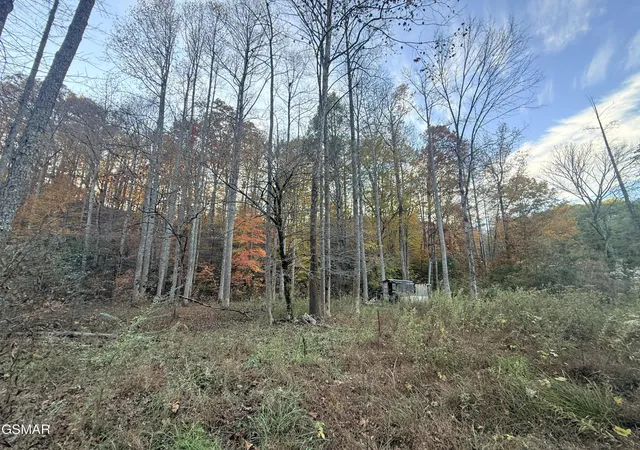 4th image of 4243 Deerfoot Road, Newport, TN 37821 | MLS# 3270041