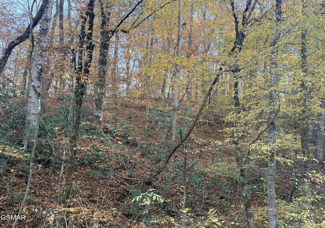5th image of 4243 Deerfoot Road, Newport, TN 37821 | MLS# 3270041