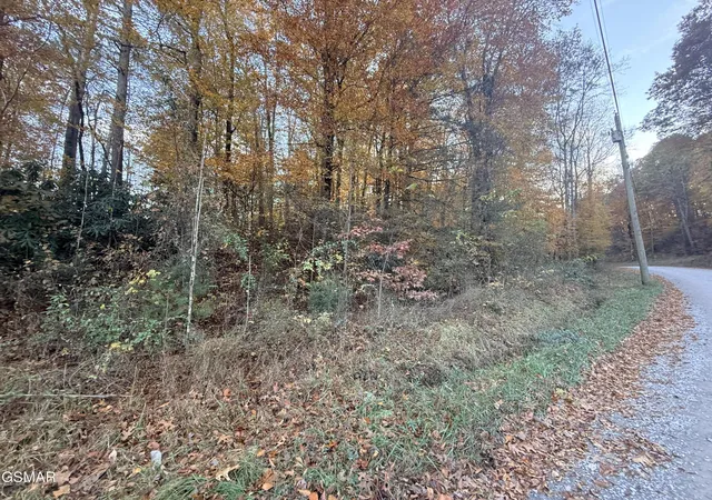 7th image of 4243 Deerfoot Road, Newport, TN 37821 | MLS# 3270041