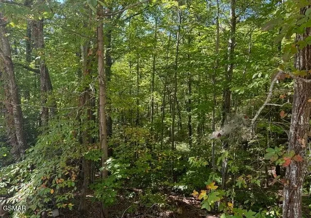2nd image of 17 Deer Path Lane, Gatlinburg, TN 37738 | MLS# 3298314