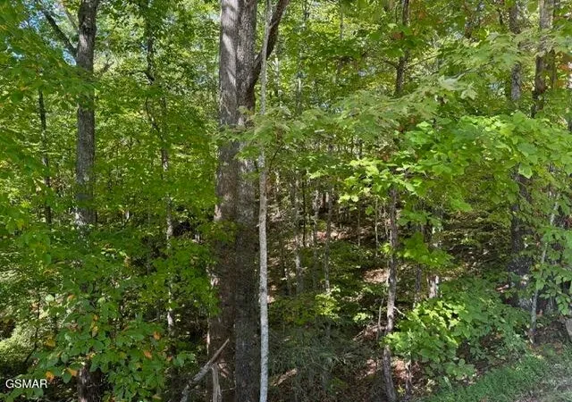 4th image of 17 Deer Path Lane, Gatlinburg, TN 37738 | MLS# 3298314