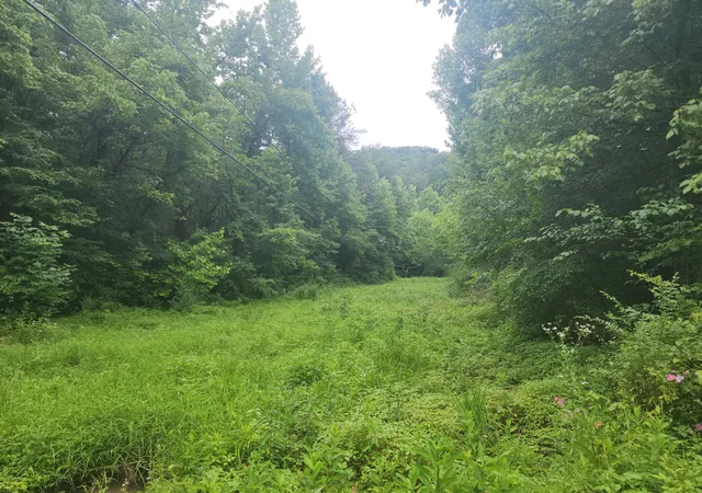 1st image of 0 Rocky Flats Rd Road, Sevierville, TN 37876 | MLS# 3288549