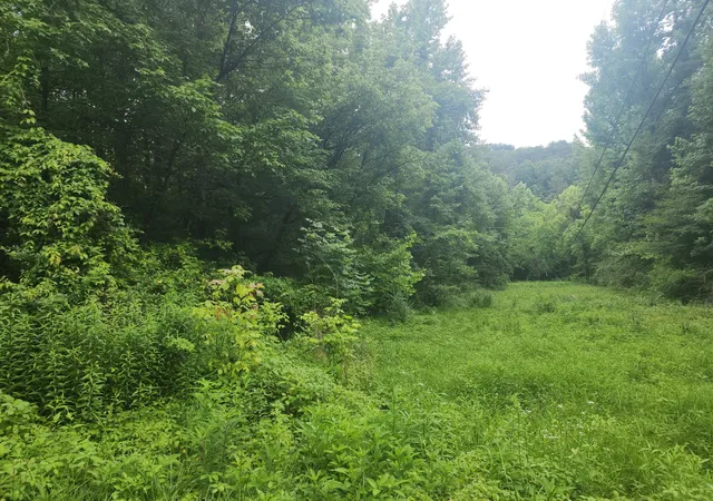 2nd image of 0 Rocky Flats Rd Road, Sevierville, TN 37876 | MLS# 3288549