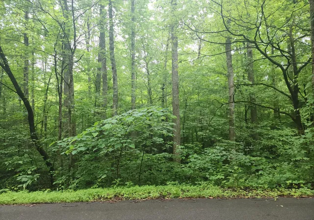 3rd image of 0 Rocky Flats Rd Road, Sevierville, TN 37876 | MLS# 3288549
