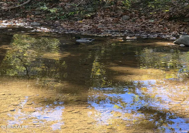 4th image of 23 Slippery Rock Circle, Pigeon Forge, TN 37863 | MLS# 3288501