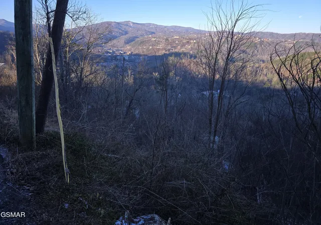 16th image of 0 Tower Road, Gatlinburg, TN 37738 | MLS# 3288510