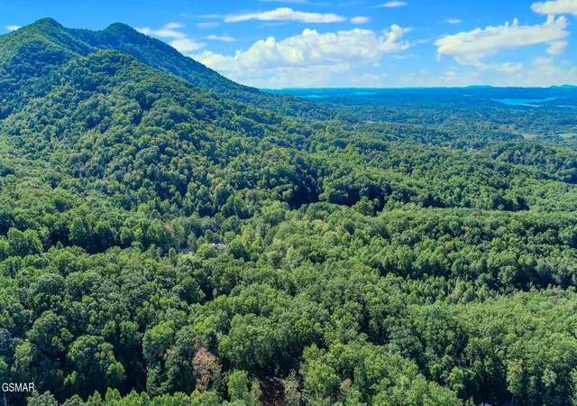 2nd image of 113 Huffman Way, Bybee, TN 37713 | MLS# 3321029