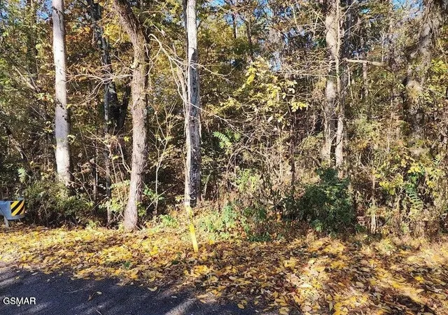 1st image of 0 Briggs Road, Dandridge, TN 37725 | MLS# 3288546