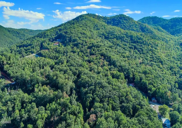 3rd image of 142 Delicious Way, Bybee, TN 37713 | MLS# 3321031
