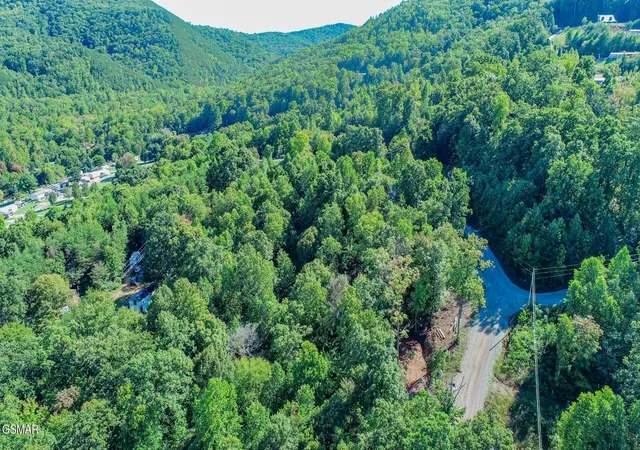 5th image of 1282 Applewood Rd, Newport, TN 37821 | MLS# 3321032