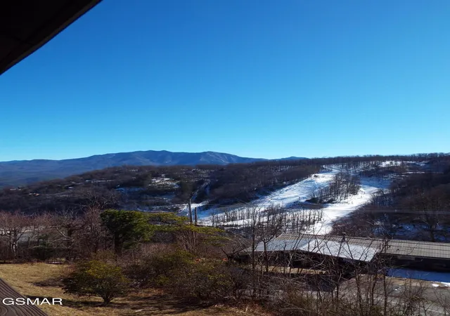 42nd image of 1380 Ski View Dr #APT 3303, Gatlinburg, TN 37738 | MLS# 3302118