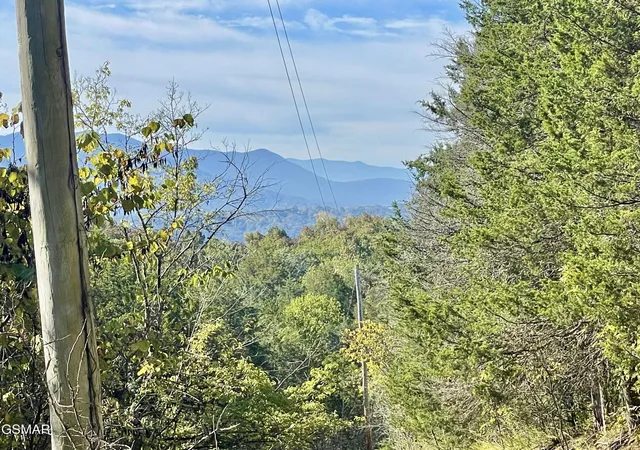 1st image of 0 Thurman Road, Newport, TN 37821 | MLS# 3320306