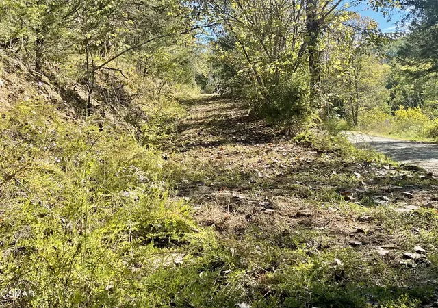 2nd image of 0 Thurman Road, Newport, TN 37821 | MLS# 3320306