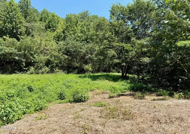 3rd image of 0 Ogle Dr, Pigeon Forge, TN 37863 | MLS# 3302023