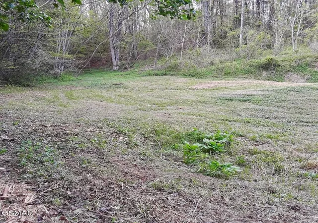 4th image of 0 Ogle Dr, Pigeon Forge, TN 37863 | MLS# 3302023