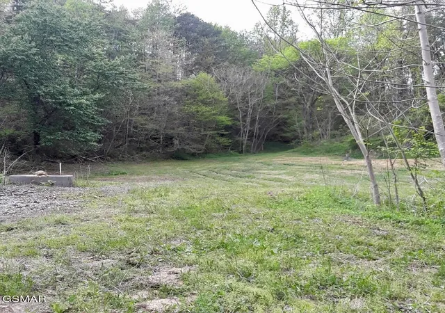 5th image of 0 Ogle Dr, Pigeon Forge, TN 37863 | MLS# 3302023