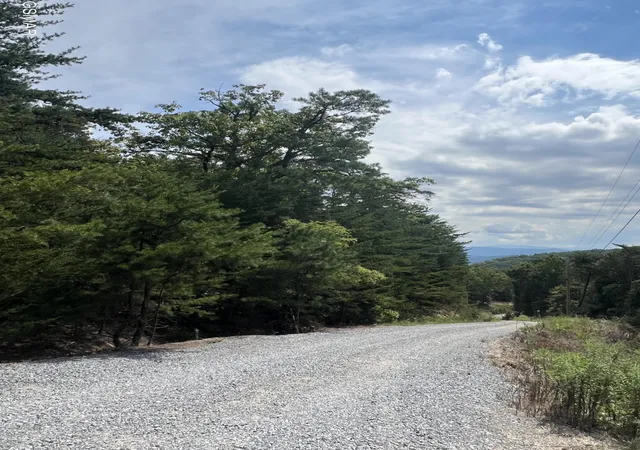 1st image of 992 Bogard Creek Road, Cosby, TN 37722 | MLS# 3302220