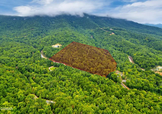 16th image of 992 Bogard Creek Road, Cosby, TN 37722 | MLS# 3302220
