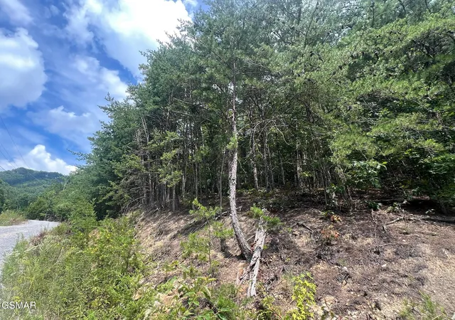 2nd image of 992 Bogard Creek Road, Cosby, TN 37722 | MLS# 3302220