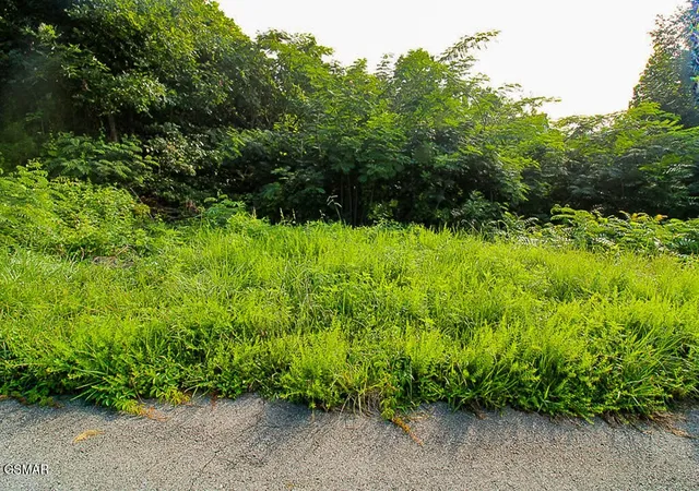 4th image of 335 W Pinnacle Dr, Gatlinburg, TN 37738 | MLS# 3510511