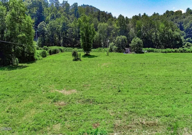 23rd image of 130110 Only Way, Del Rio, TN 37727 | MLS# 3321035