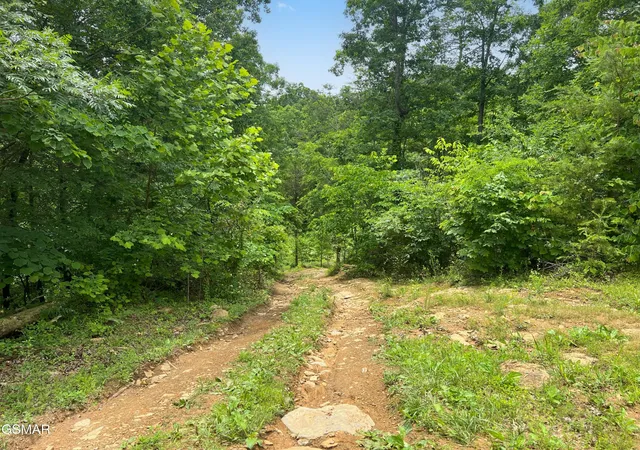 2nd image of 185 Green Road, Bulls Gap, TN 37711 | MLS# 3278318