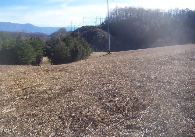 4th image of 4 Jake Thomas Road, Pigeon Forge, TN 37863 | MLS# 3304070