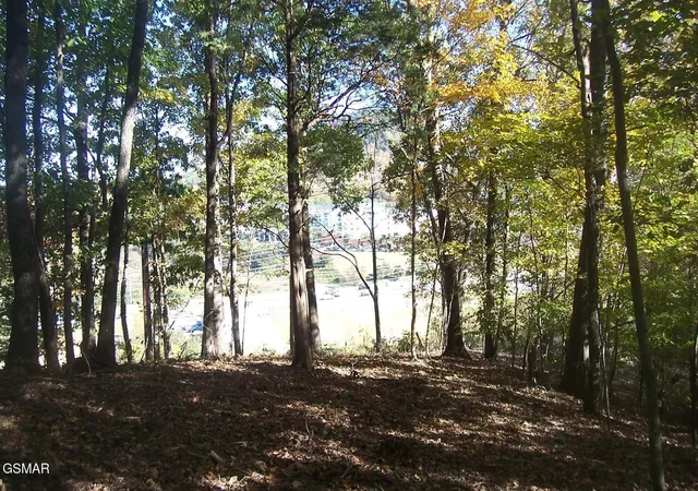 5th image of 4 Jake Thomas Road, Pigeon Forge, TN 37863 | MLS# 3304070
