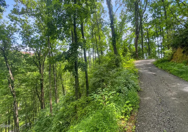 14th image of 6 Ski Mtn Road, Gatlinburg, TN 37738 | MLS# 3307572