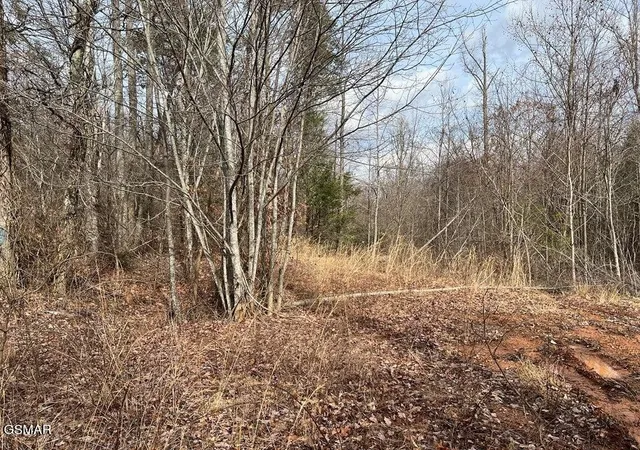 1st image of 30 Blue Springs Way, Newport, TN 37821 | MLS# 3320282
