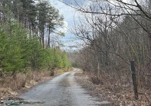 2nd image of 30 Blue Springs Way, Newport, TN 37821 | MLS# 3320282