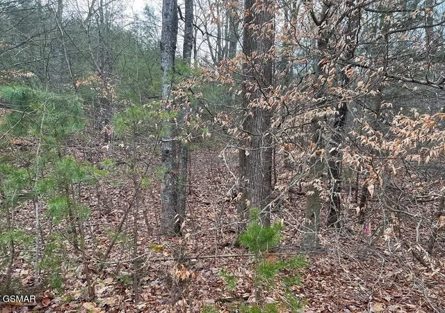 3rd image of 30 Blue Springs Way, Newport, TN 37821 | MLS# 3320282