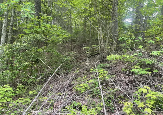 1st image of 1115 Tranquility Hills Way, Cosby, TN 37722 | MLS# 3320308