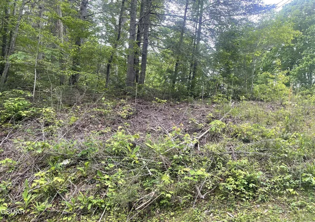 4th image of 1115 Tranquility Hills Way, Cosby, TN 37722 | MLS# 3320308