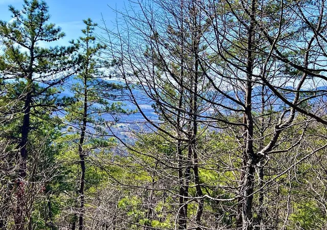 23rd image of 123 Ravens Den Way, Sevierville, TN 37862 | MLS# 3524777