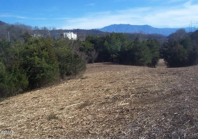 1st image of 4 Veterans Blvd Boulevard, Pigeon Forge, TN 37863 | MLS# 3304071