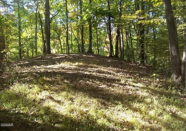 5th image of 4 Veterans Blvd Boulevard, Pigeon Forge, TN 37863 | MLS# 3304071
