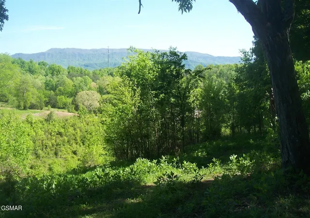 1st image of 1 Chapman Hwy Hwy, Seymour, TN 37865 | MLS# 3304073