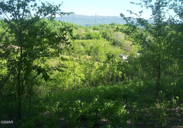 3rd image of 1 Chapman Hwy Hwy, Seymour, TN 37865 | MLS# 3304073