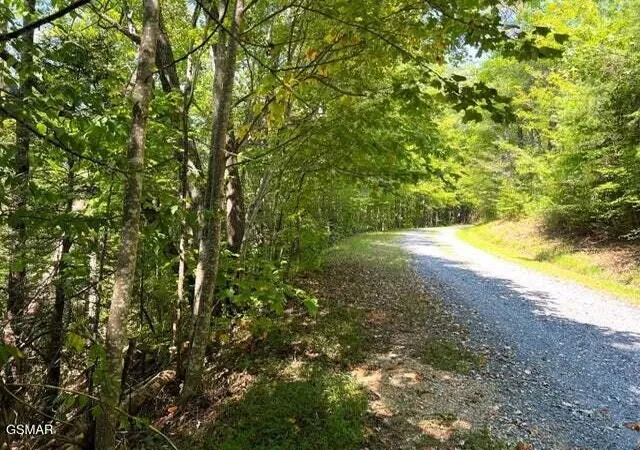 1st image of 8 Faith Mountain Way, Hartford, TN 37753 | MLS# 3281444