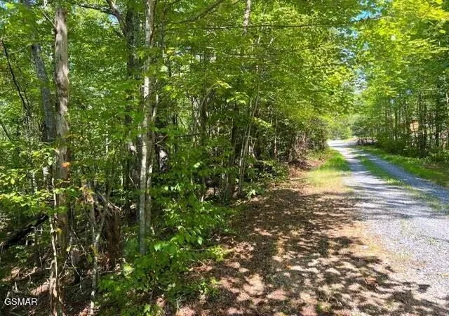 2nd image of 8 Faith Mountain Way, Hartford, TN 37753 | MLS# 3281444